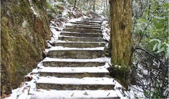 侨洋实业伙伴们在河源比架山拍的雪景